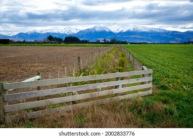 Native plants and trees are planted along farm fences and around waterways to provide a habitat and place for birds and bugs in New Zealand	 - Shutterstock ID 2002833776