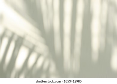 Native shadow background. Palm reflection. Natural leaves shadows. Sunlight dappled on white wall. Texture for background wallpaper. Overlay on light wall for product presentation, mockup.