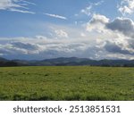 Natur Landschaft Himmel Wolken Wiese