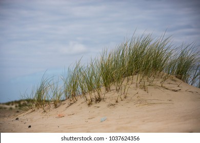 66 Deutsche strand Images, Stock Photos & Vectors | Shutterstock