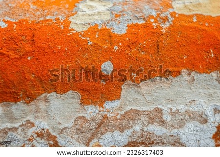 Natural abstract background. Orange lichen on the old tree. Orange lichen. Tree surface with lichen and moss texture. Red, yellow and orange colors. Nature colors. Abstract background.