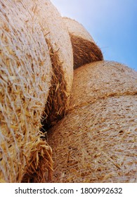 Natural Agricultural Background.Round Bales Of Hay Are Stacked In A Row Against The Sky.Close Up.Rural Farming.The Grain Harvest, And Harvesting.vertical Orientation.