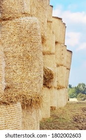 Natural Agricultural Background.Round Bales Of Hay Are Stacked In A Row Against The Sky.Close Up.Rural Farming.The Grain Harvest, And Harvesting.vertical Orientation.