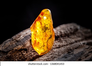 Natural Amber. A Piece Of Yellow Transparent Natural Amber On Large Piece Of Dark Stoned Wood.