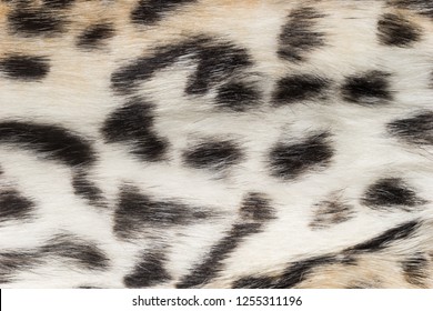 Natural Animal Fur Background Texture Wool Stock Photo 1255311196