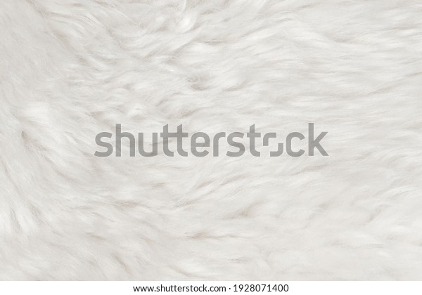 Natural animal white wool seamless texture\
background. light sheep wool. texture of fluffy fur for designers.\
close-up fragment white beige wool\
carpet