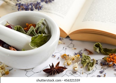 natural apothecary with herbs and book on science sheet