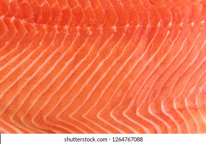 Natural Atlantic Norwegian Salmon Fillet Texture or Pattern Closeup. Macro Photo Fresh Red Fish or Trout Background Top View