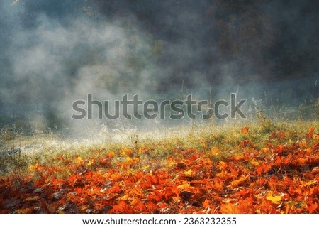 Natural autumn background with morning mist in sunlight, colored maple leaves and green grass with spiderweb