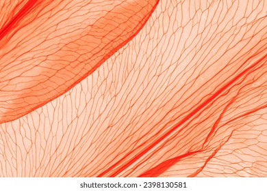Natural Autumnal red peach color leaves as creative nature pattern, veins of leaf, textured foliage closeup, organic design background. Aesthetic nature macro trends, peach fuzz trend color 2024 year