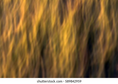 Natural Background - Shutterstock ID 589842959
