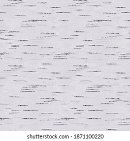 Natural Background - Black And White Birch Bark Texture, Birch Seamless Pattern