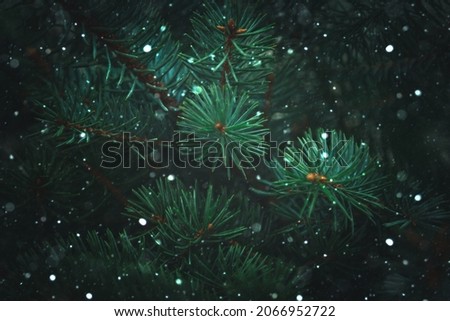 Similar – Image, Stock Photo snowflake (VI)