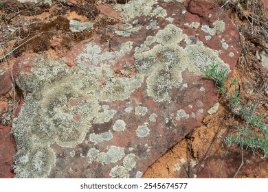 Natural background, old stone, texture and relief of rocky surface, picturesque close-up, moss and lichen on stone - Powered by Shutterstock