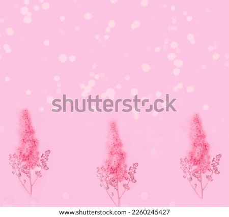 Natural background of pink flowers in shades of magenta. Wonder of natural design or Connecting with Nature. Festive background concept for Valentine's Day. 