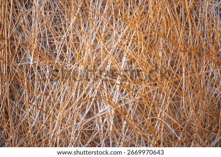 Natural background, texture, interweaving of beige and orange shrub fibers