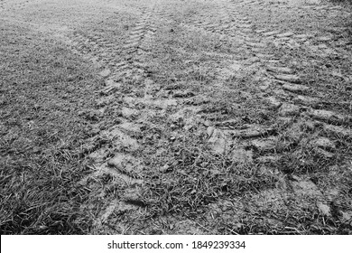 Natural Background With Tractor Tire Tracks In Wet Muddy Field 