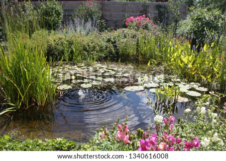 Natural backyard water pond with water plants and small water fountain in backyard