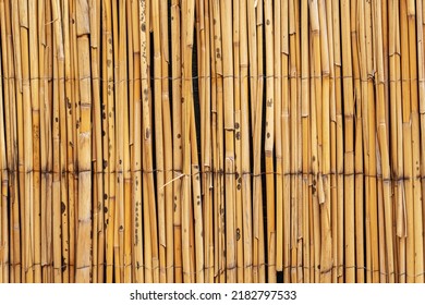 Natural Bamboo Background. Fence Of The Dry Reeds. Dry Grass Or Cane Natural Textures.