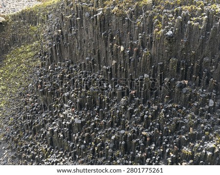 Natural basalt columnar jointing formation, unique vertical dark volcanic rock texture background