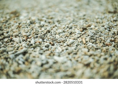 Natural Beach Texture with Broken Seashells and Coral Fragments