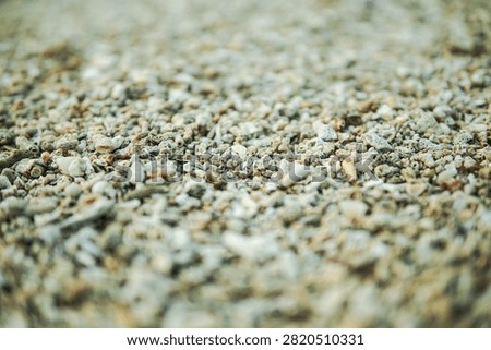 Natural Beach Texture with Broken Seashells and Coral Fragments