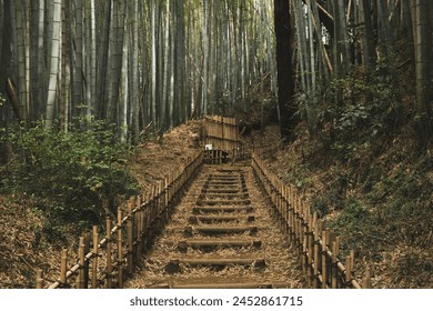 The natural beauty of a bamboo forest in Japan with a serene footpath winding through towering bamboo stalks. The tranquility of Japan's lush bamboo groves. Nature-inspired content. - Powered by Shutterstock