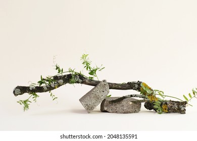 Natural beauty podium backdrop for cosmetic product display.
Background for cosmetic product branding with stone, wood and plant
 - Shutterstock ID 2048135591