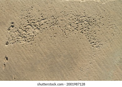 Natural Beige Stone With Vesicular Texture 