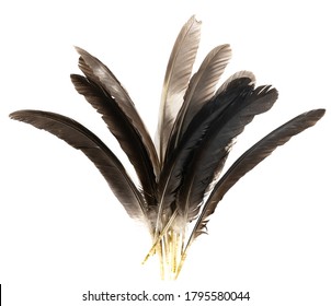 Natural bird feathers isolated on a white background. pile pigeon, chicken and goose feathers close-up. stack  bird feathers - Powered by Shutterstock
