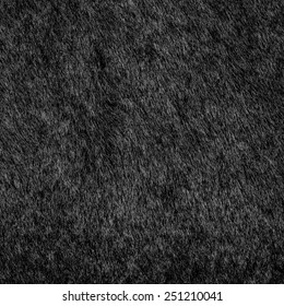 Natural Black Fur Texture As Background