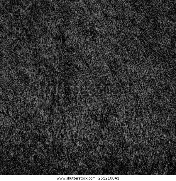 Natural Black Fur Texture Background Stock Photo (Edit Now) 251210041