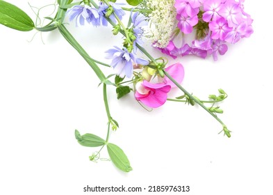 A Natural Blooming Wildflower Bunch On White