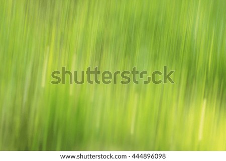 Similar – Image, Stock Photo it greenens so greenly