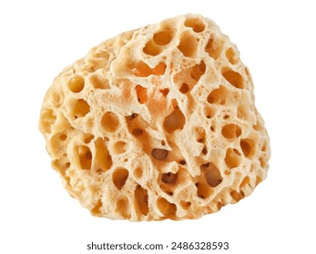 Natural Body Sea Sponge isolated on white background
