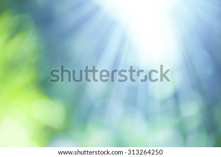 Natural Bokeh with sun rays