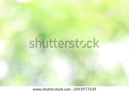 Natural bokeh.blured photo Natural green trees Lawn and trees green background.