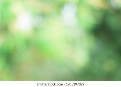 Natural Bokeh.blurred Photo Natural Green Trees Lawn And Trees Green Background.	
