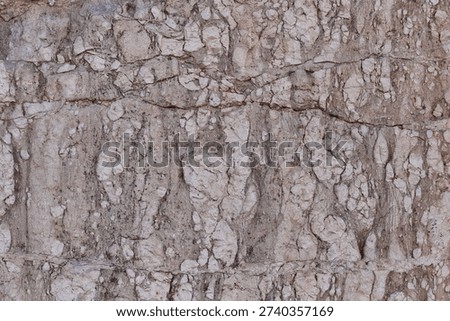 Natural breccia stone composed of angular fragments embedded in a darker matrix, ideal for geology and natural abstract patterns.