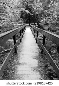 Natural Bridge State Park, Virginia 