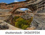 Natural Bridges National Monument