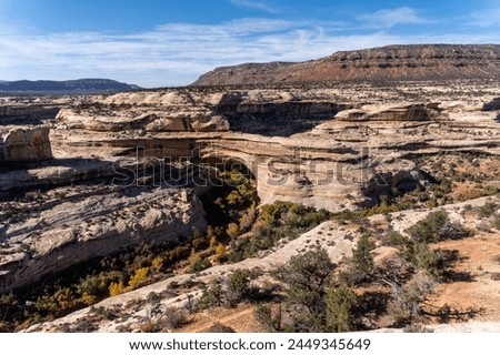 Natural Bridges National Monument in Utah. A natural bridge is formed through erosion by water flowing in the stream bed of the canyon. Kachina Bridge from Bridge View Drive overlook. 