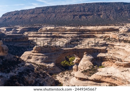 Natural Bridges National Monument in Utah. A natural bridge is formed through erosion by water flowing in the stream bed of the canyon. Sipapu Bridge from Bridge View Drive overlook. 