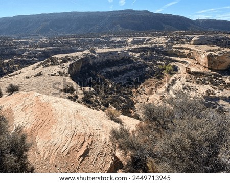 Natural Bridges National Monument in Utah. A natural bridge is formed through erosion by water flowing in the stream bed of the canyon. View of White Canyon from Bridge View Drive overlook. 