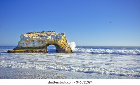 Natural Bridges, Santa Cruz, CA 