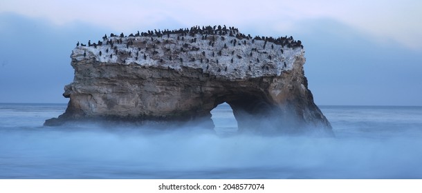 Natural Bridges State Beach - Dusk