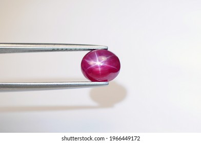 Natural Bright Red Color 6 Rays Star Ruby Cabochon Gemstone Setting In Tweezers. Heated, Lead Glass Filled Gem. Corundum, Al2O2. Earth Mined Stone. White Background, Shadow.