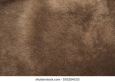 Natural Brown Fur Texture