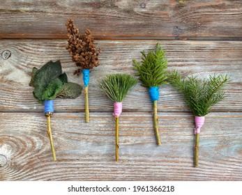 Natural Brushes Made Of Natural Material For Children, For Camping Painting And Printing