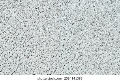 Natural bubble pattern backdrop. Copy space. Porous poriferous material for air ventilation with holes. A white wall with a pattern of small dots. Elements of this image furnished by NASA